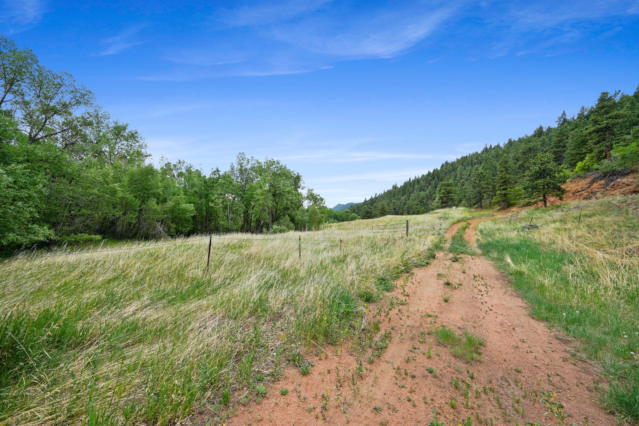 10925 W Hwy 24, Cascade, CO 80809, USA Photo 6