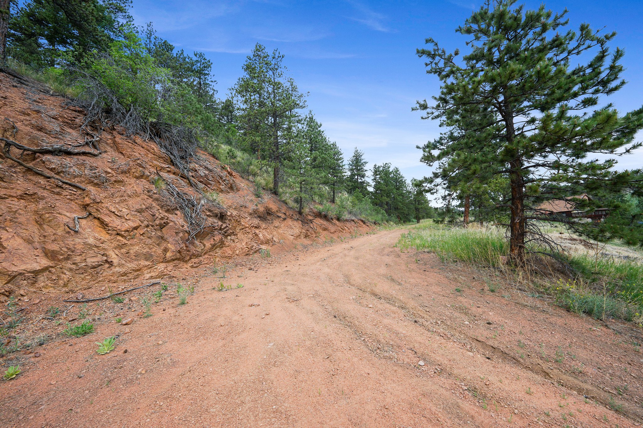 10925 W Hwy 24, Cascade, CO 80809, USA Photo 7