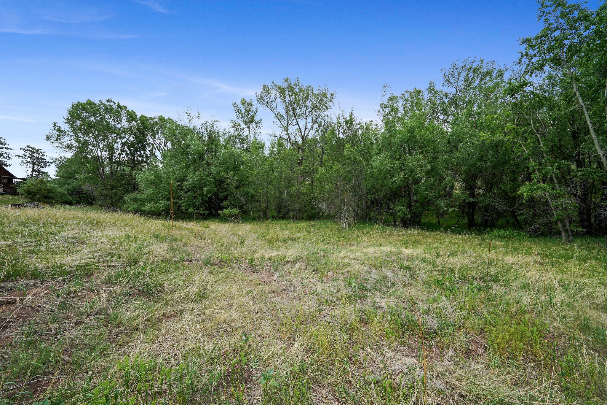 10925 W Hwy 24, Cascade, CO 80809, USA Photo 11