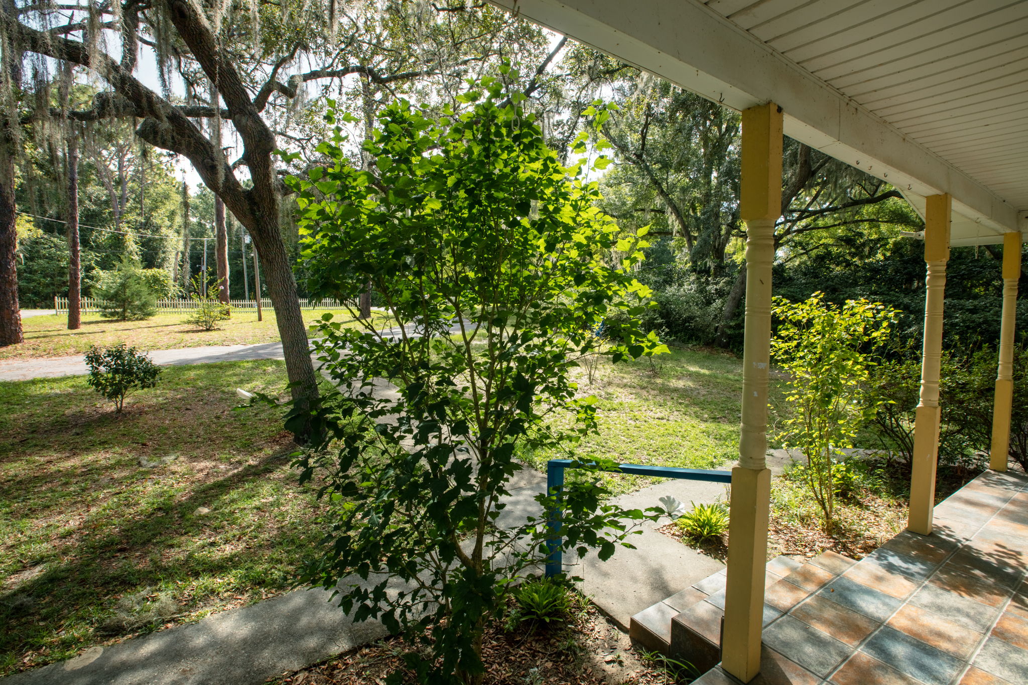 Frontyard