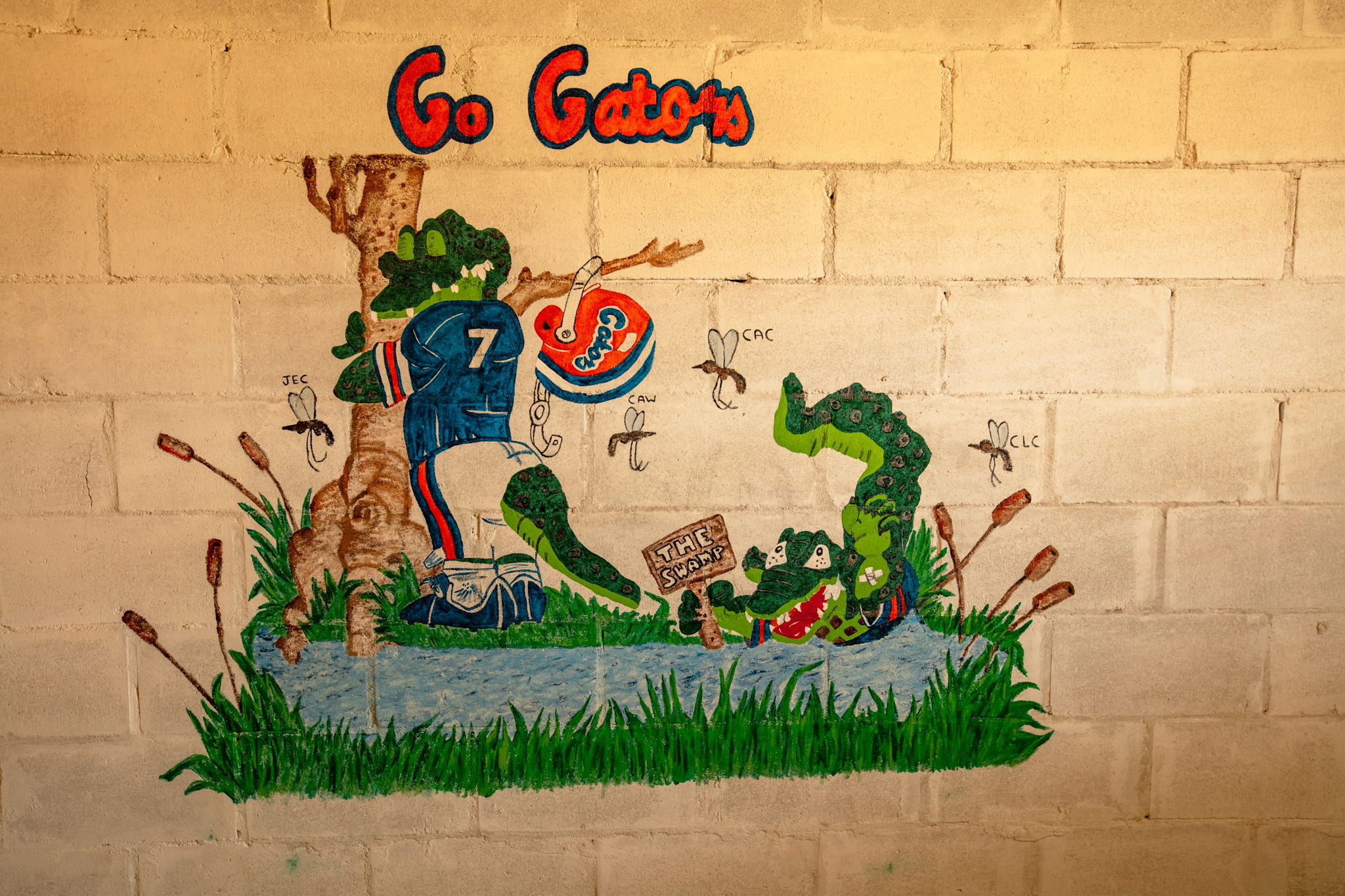 Go Gators!