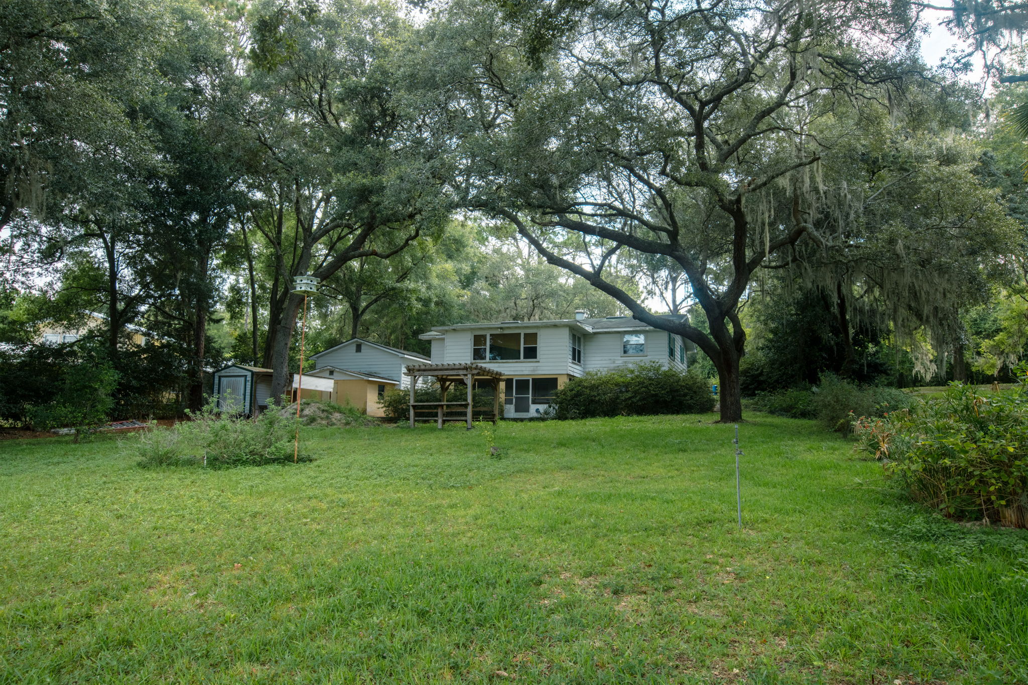 backyard