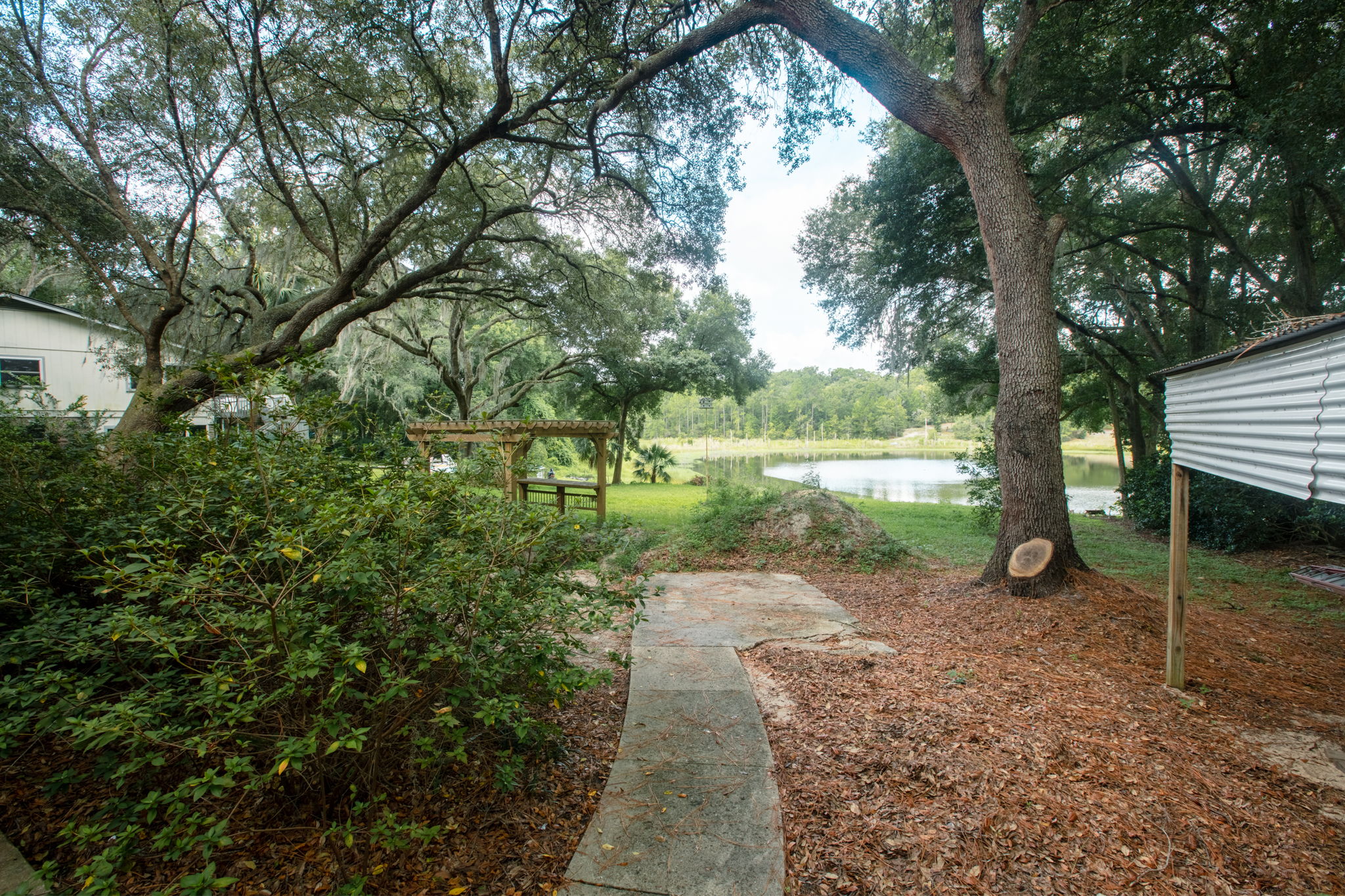 backyard