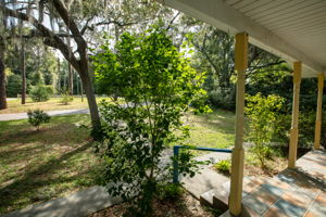 Frontyard