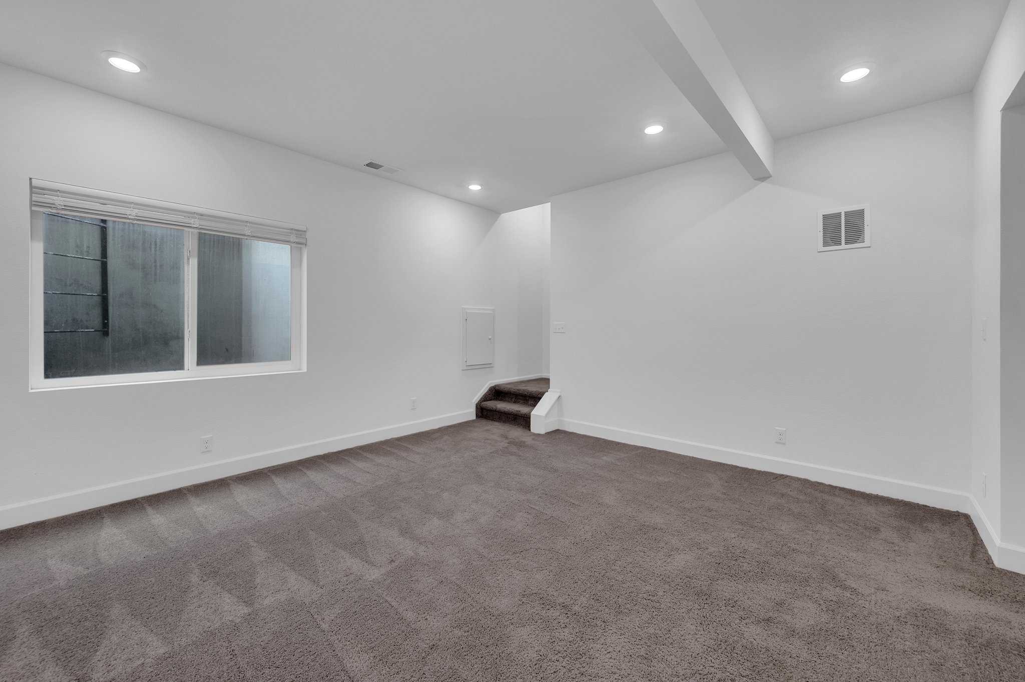 Basement Living Area