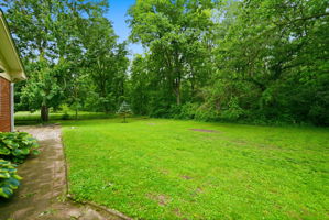  Photo 49