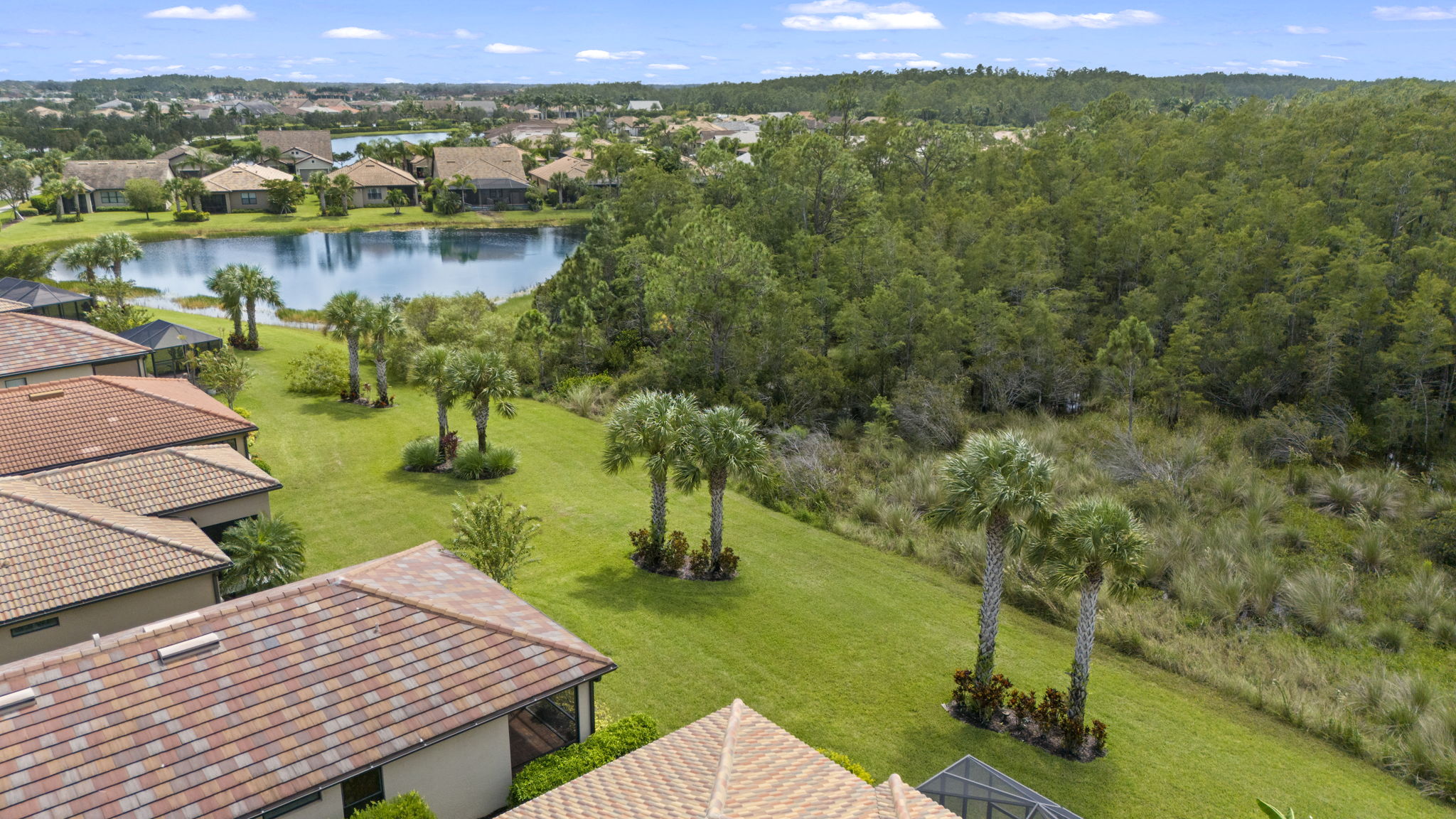 Aerial Back Exterior (1)