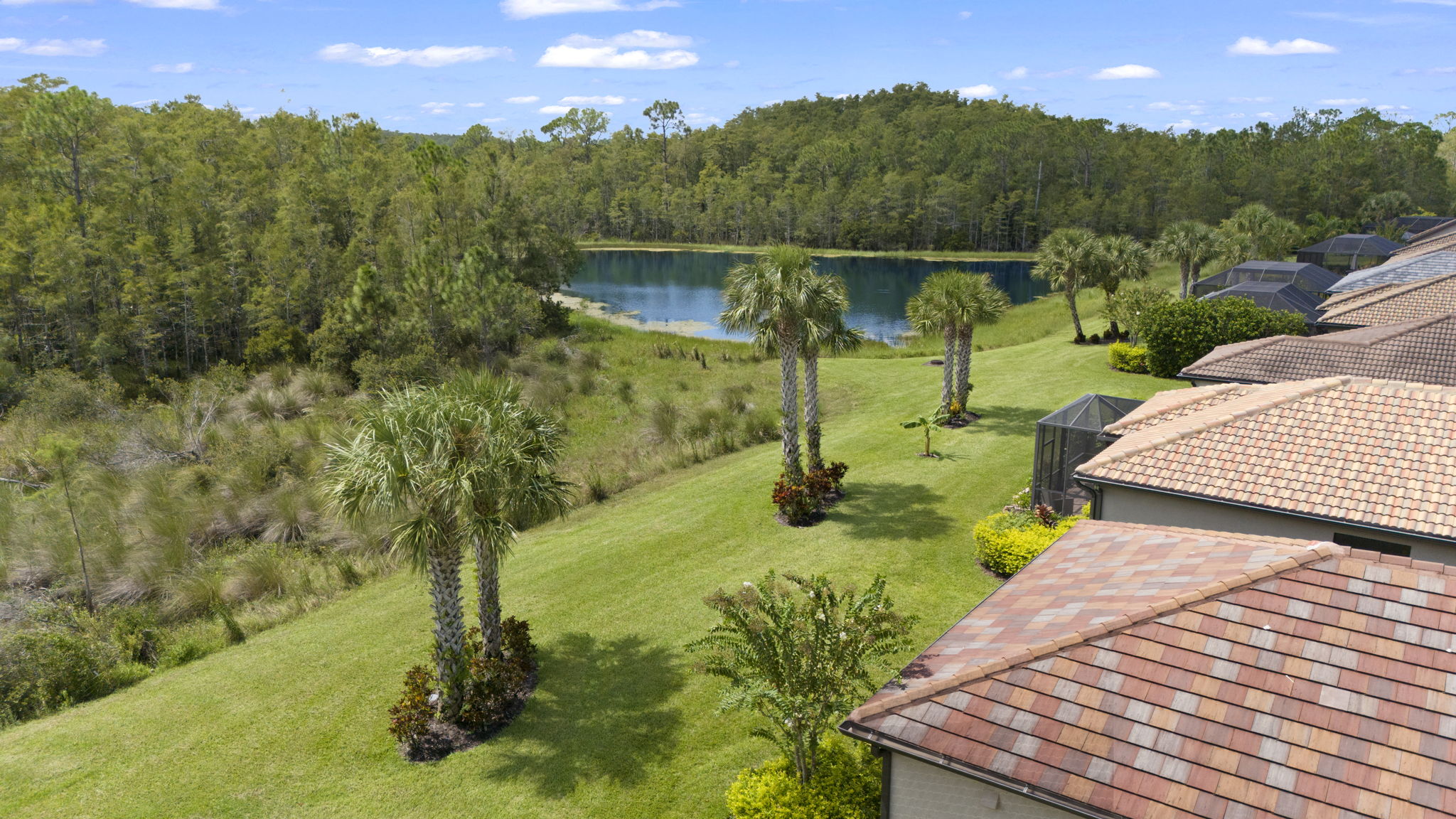 Aerial Back Exterior (2)