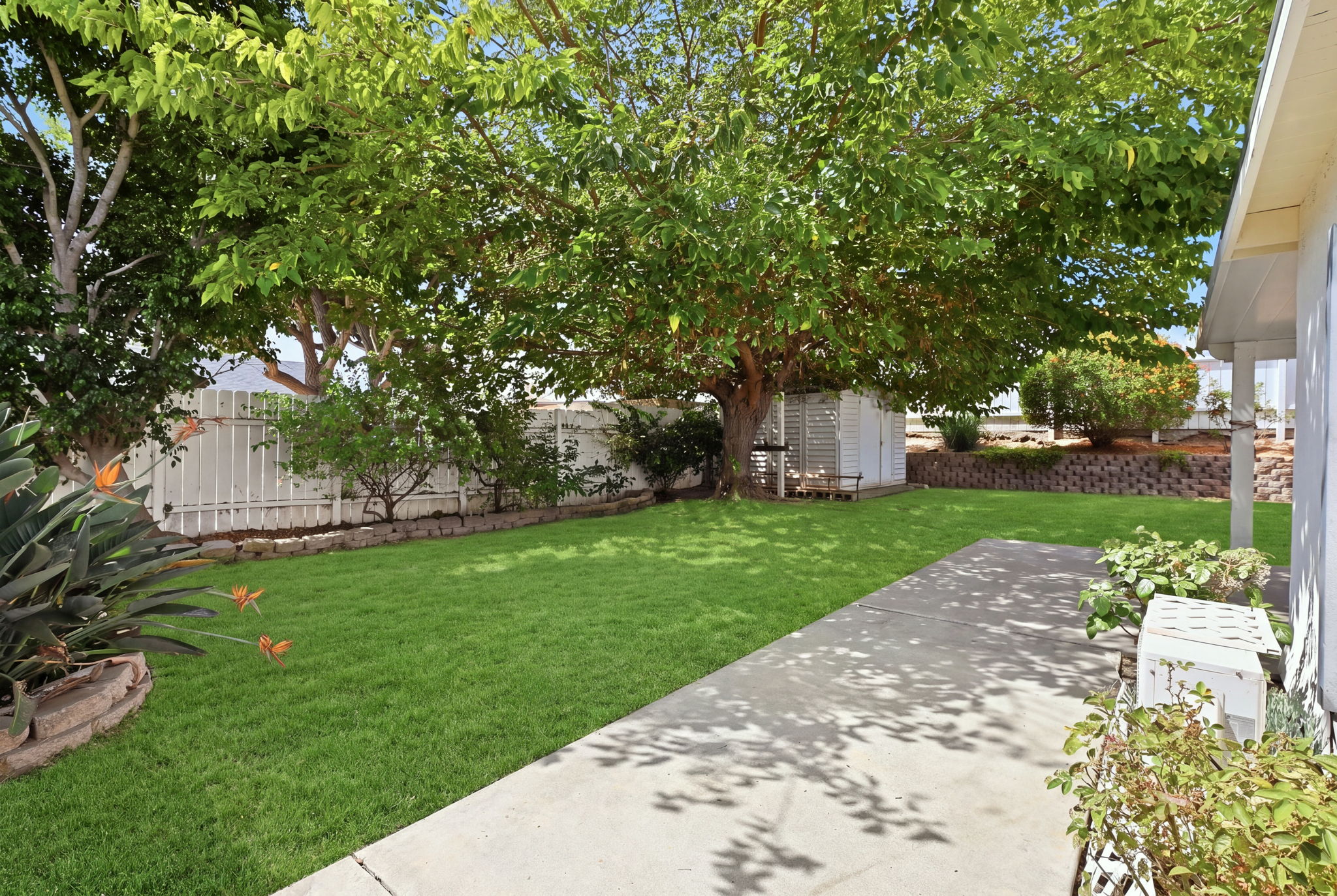  Photo 42