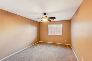 Newcastle Hills St-012