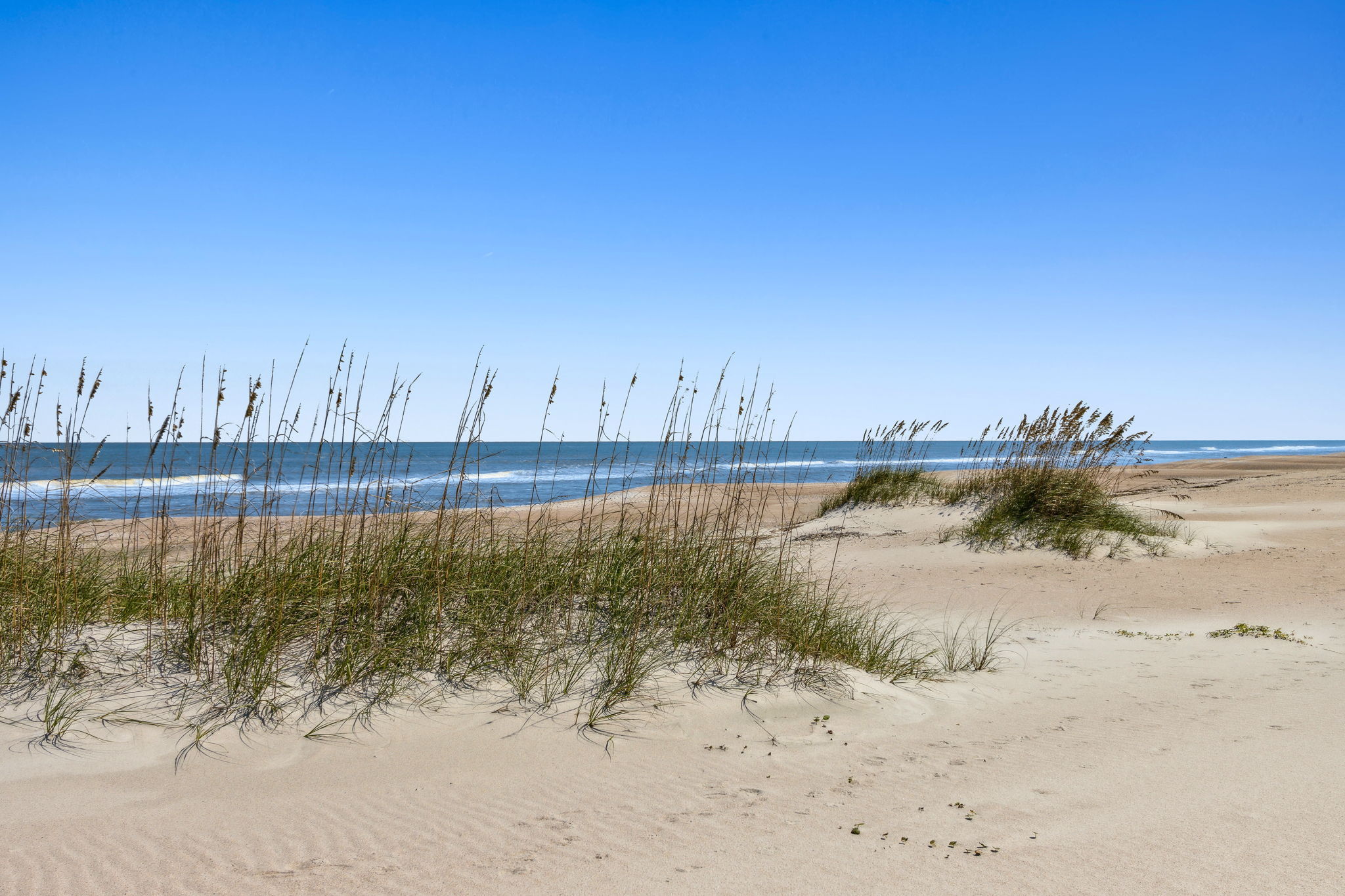 The beaches of Amelia Island ...