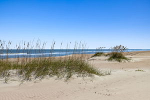 The beaches of Amelia Island ...