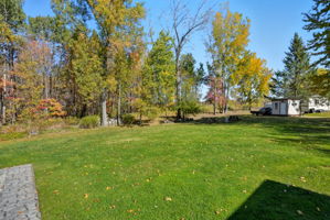  Photo 52