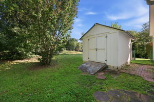  Photo 48