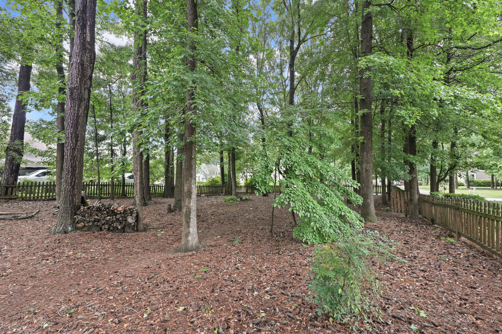  Photo 45