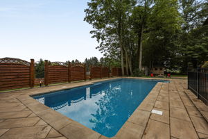  Photo 57
