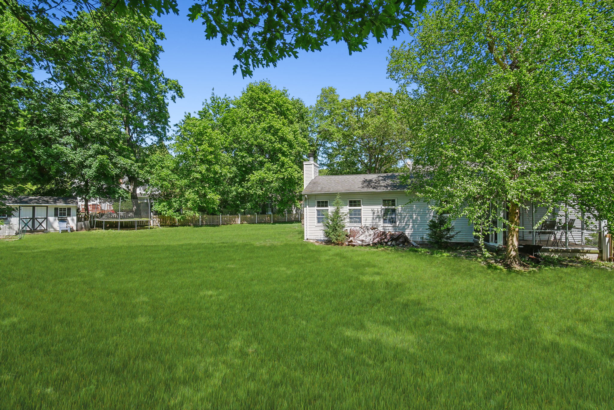 NEW Rear Yard