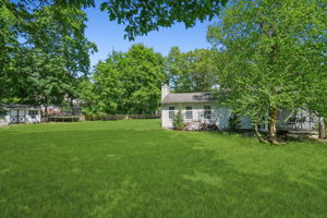 NEW Rear Yard