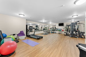 IMG (25)