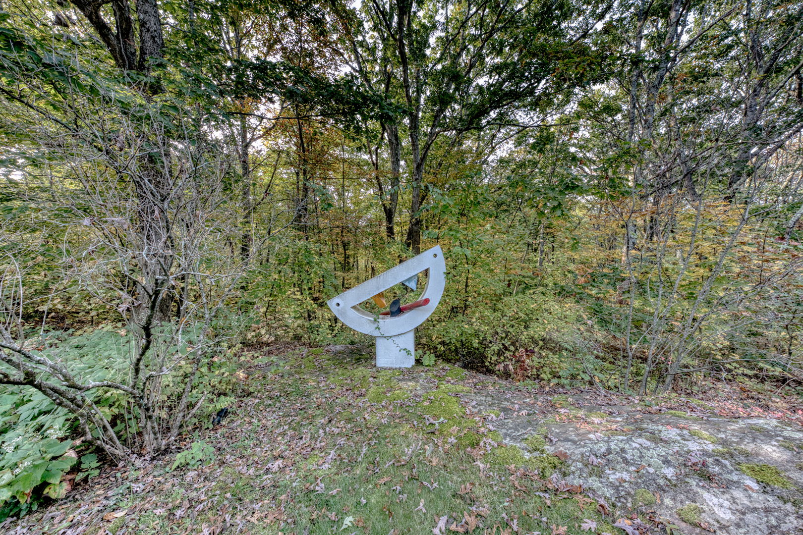  Photo 45