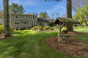  Photo 59