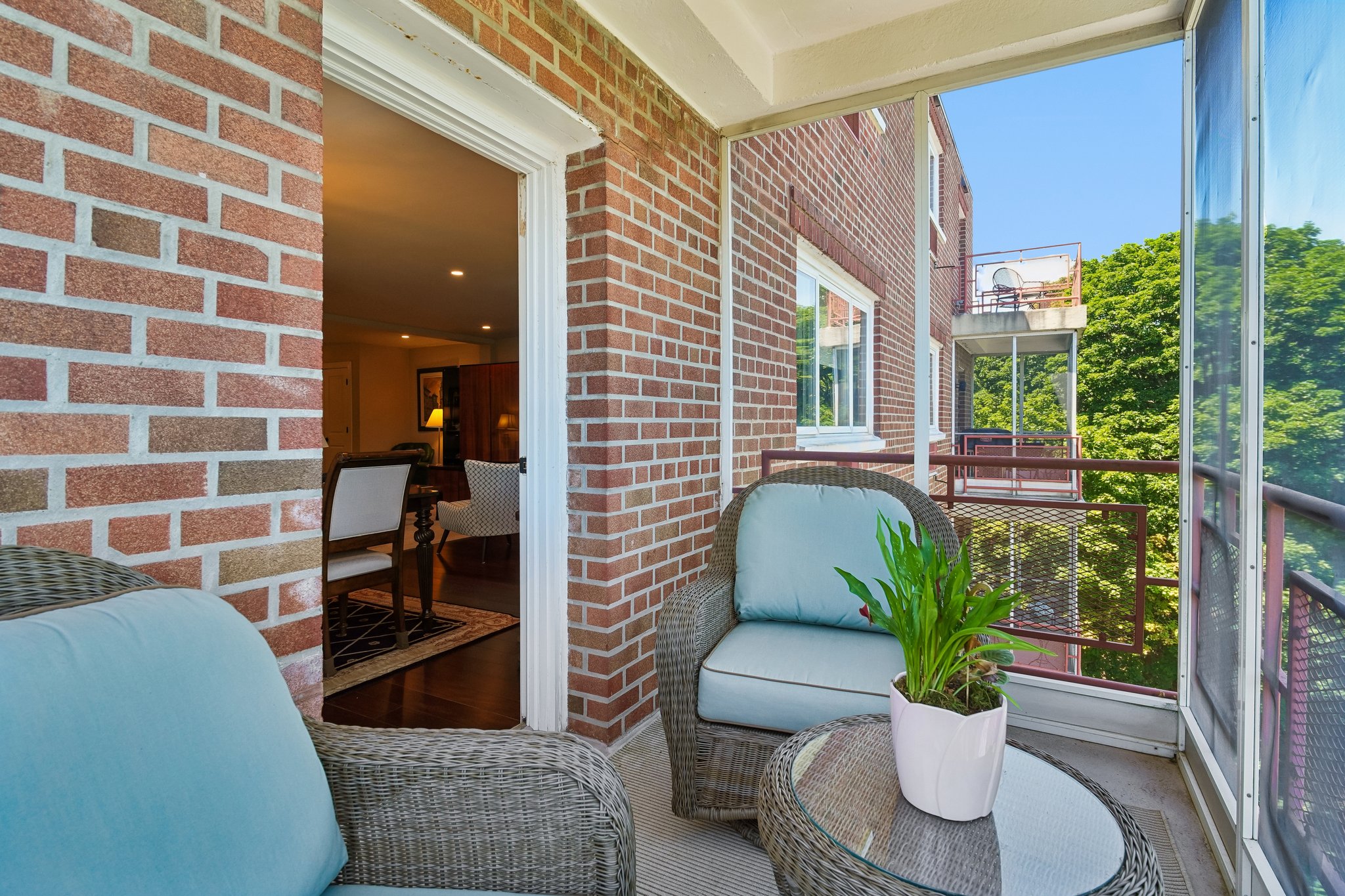 IMG05606.jpg