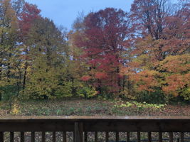 View of Back in the Fall