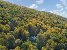  Photo 48