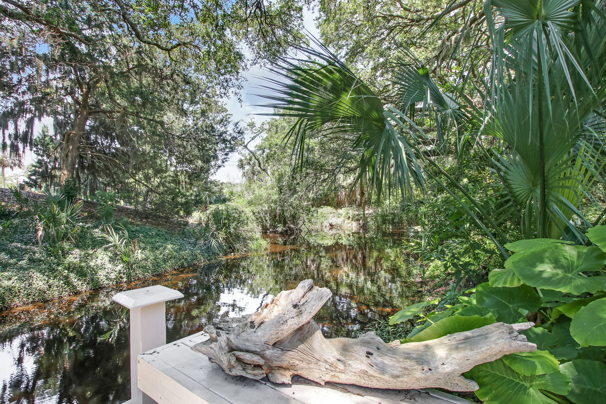 Creek View