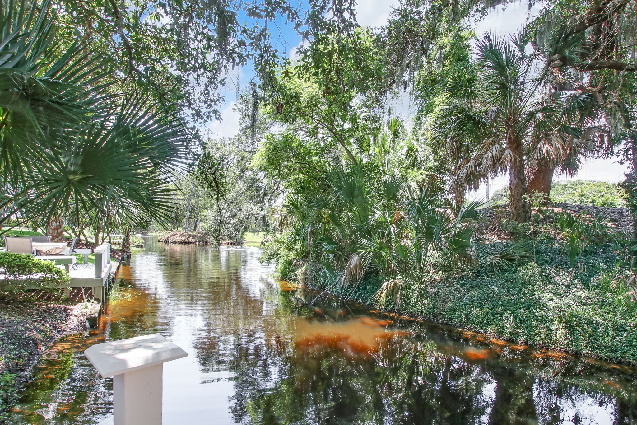 Creek View