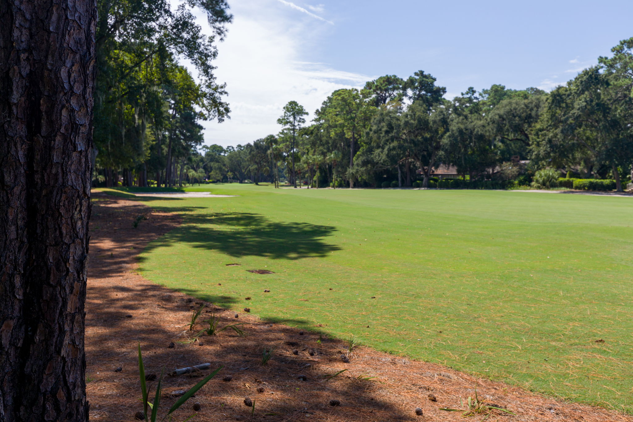 2nd Fairway of the Harbor Town Links.