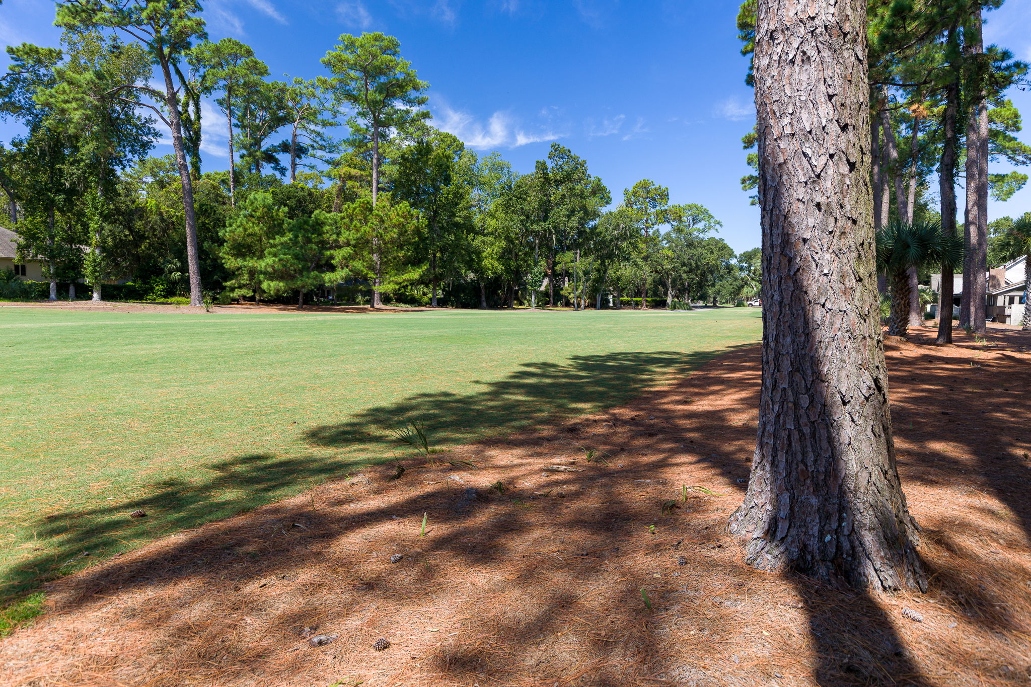 2nd Fairway of the Harbor Town Links.