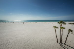 Beach24