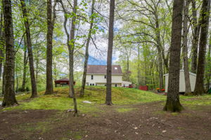  Photo 49