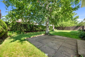  Photo 49