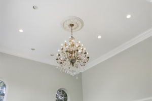 009_IMG_6558
