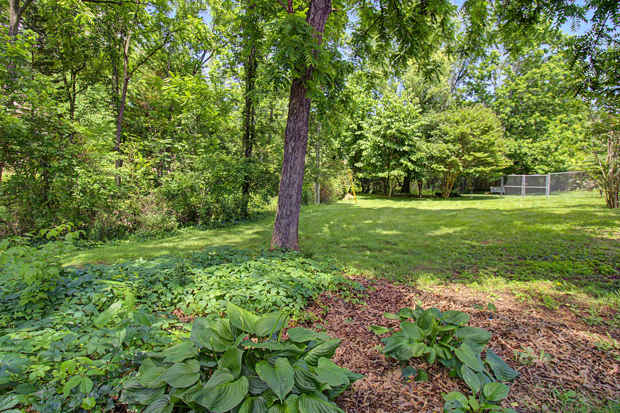  Photo 35
