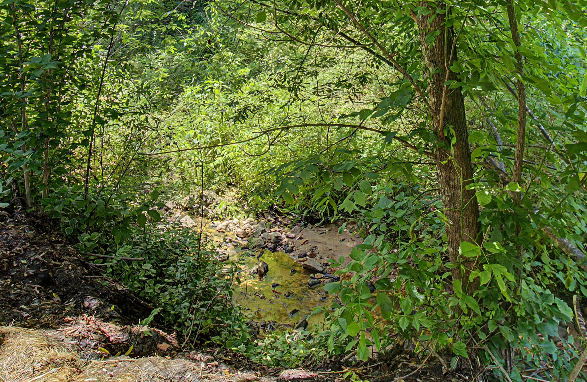  Photo 42