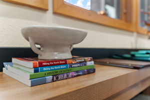 UAV Vision Media I Short Term Rental Photography I Lutsen, MN (101)