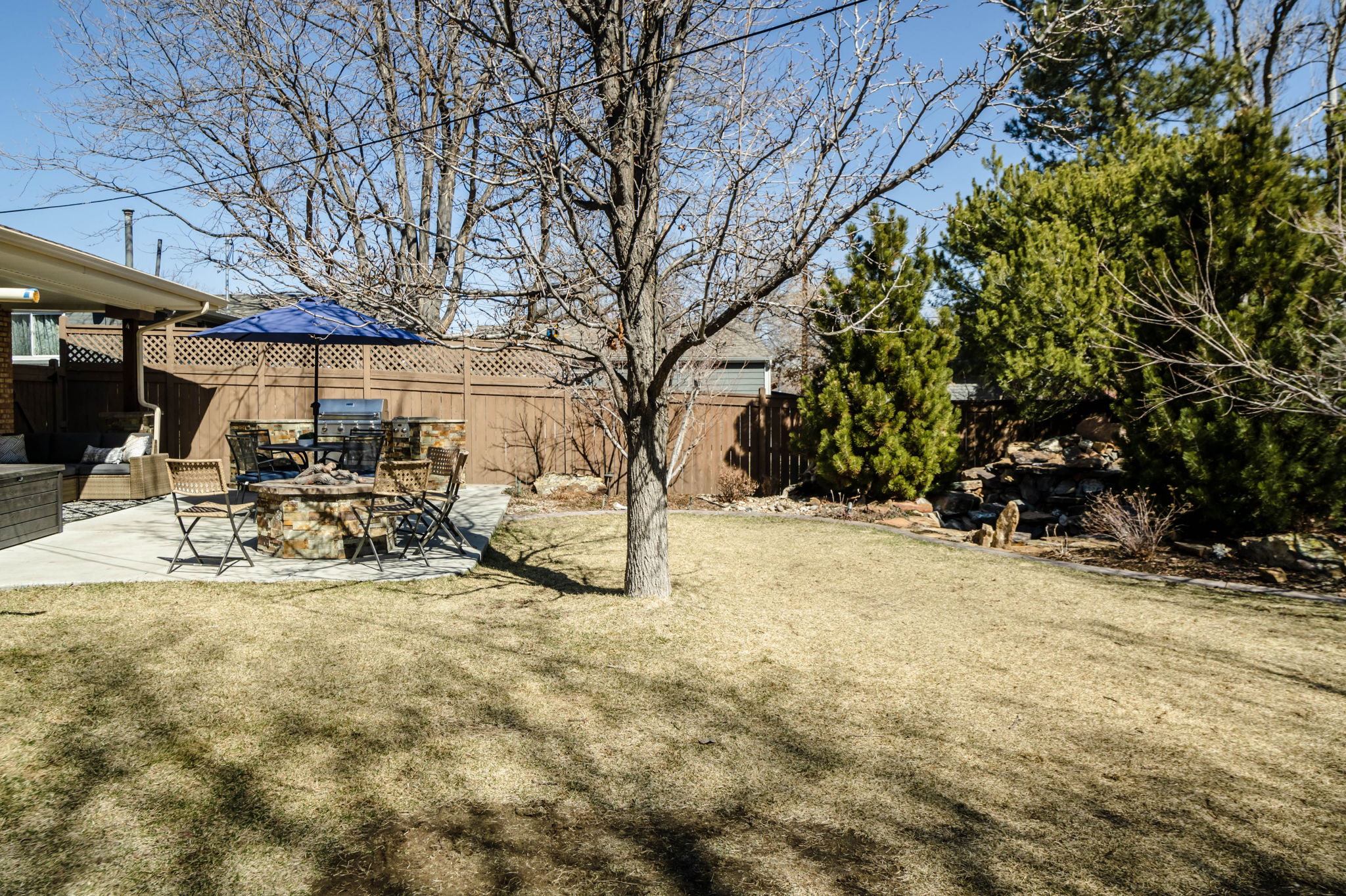 Back Yard