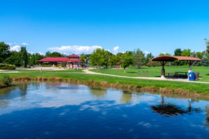 Community Park