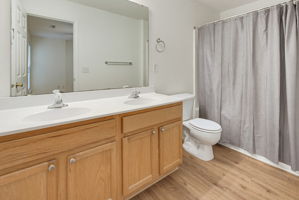  Photo 44