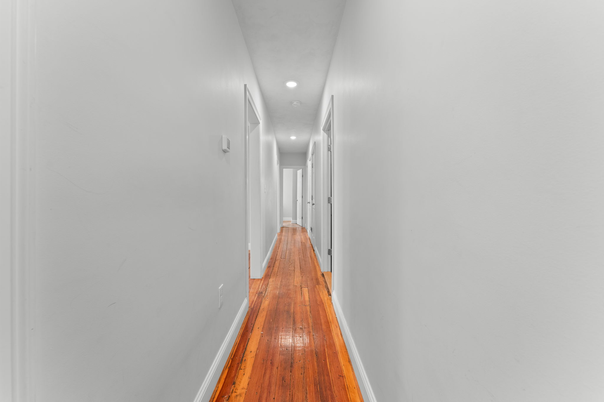 IMG-3
