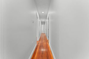 IMG-3