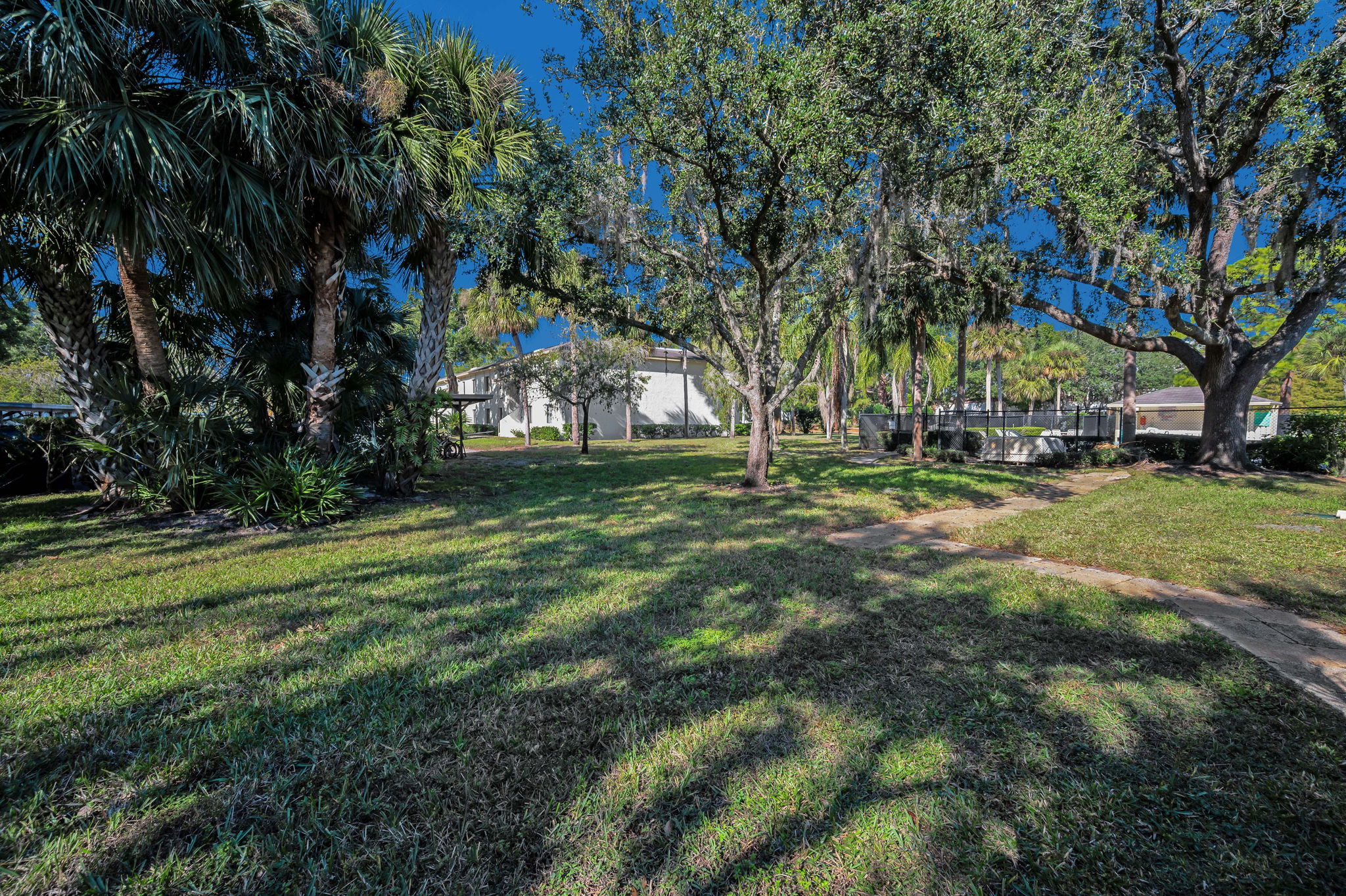 Backyard4