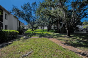 Backyard5