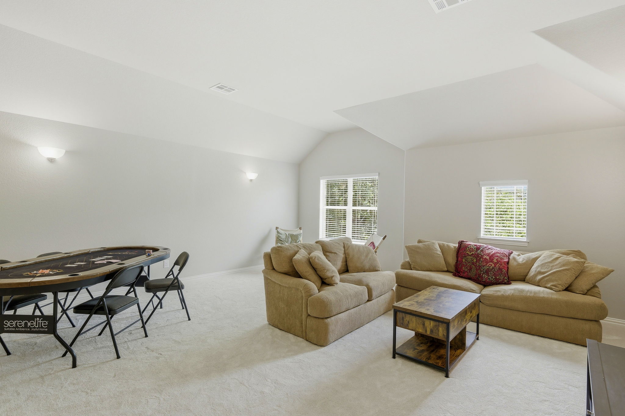 Media Room/Flex Space