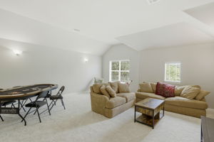 Media Room/Flex Space