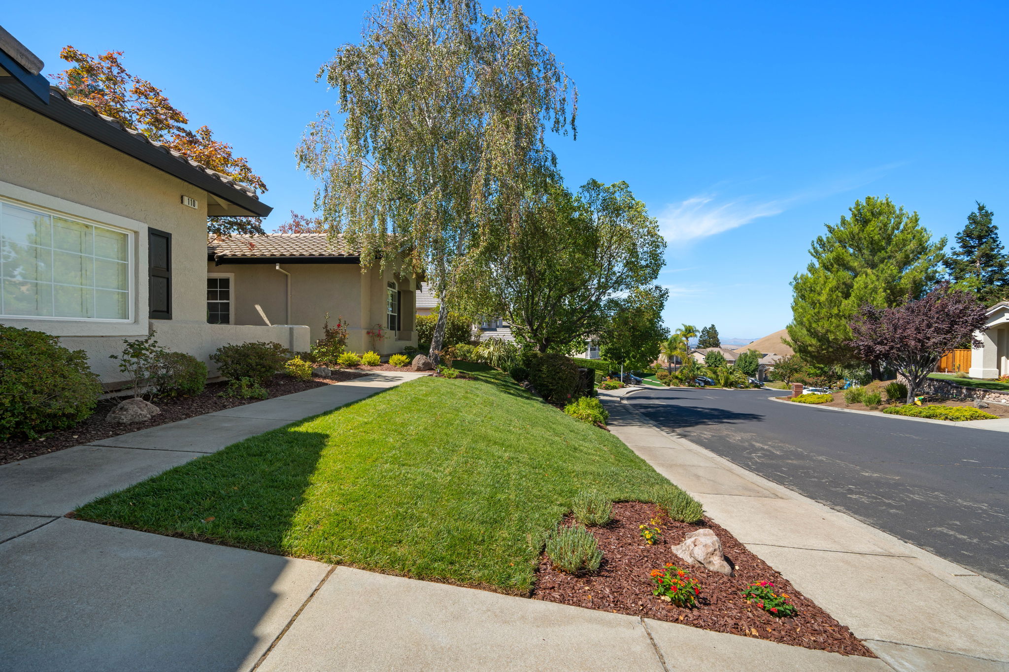  Photo 77
