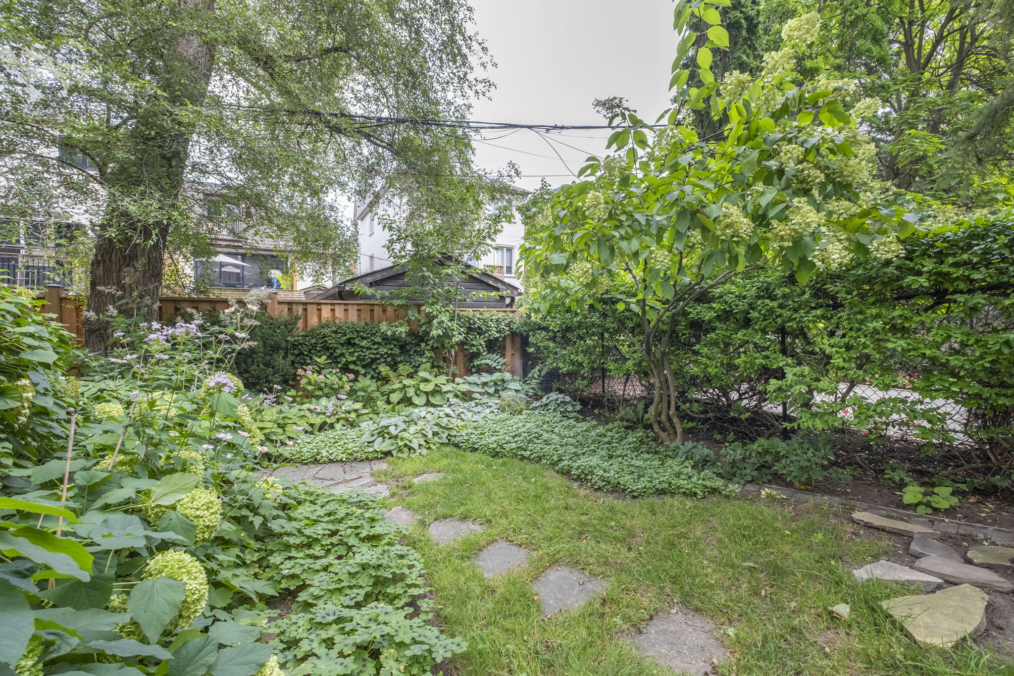  Photo 53